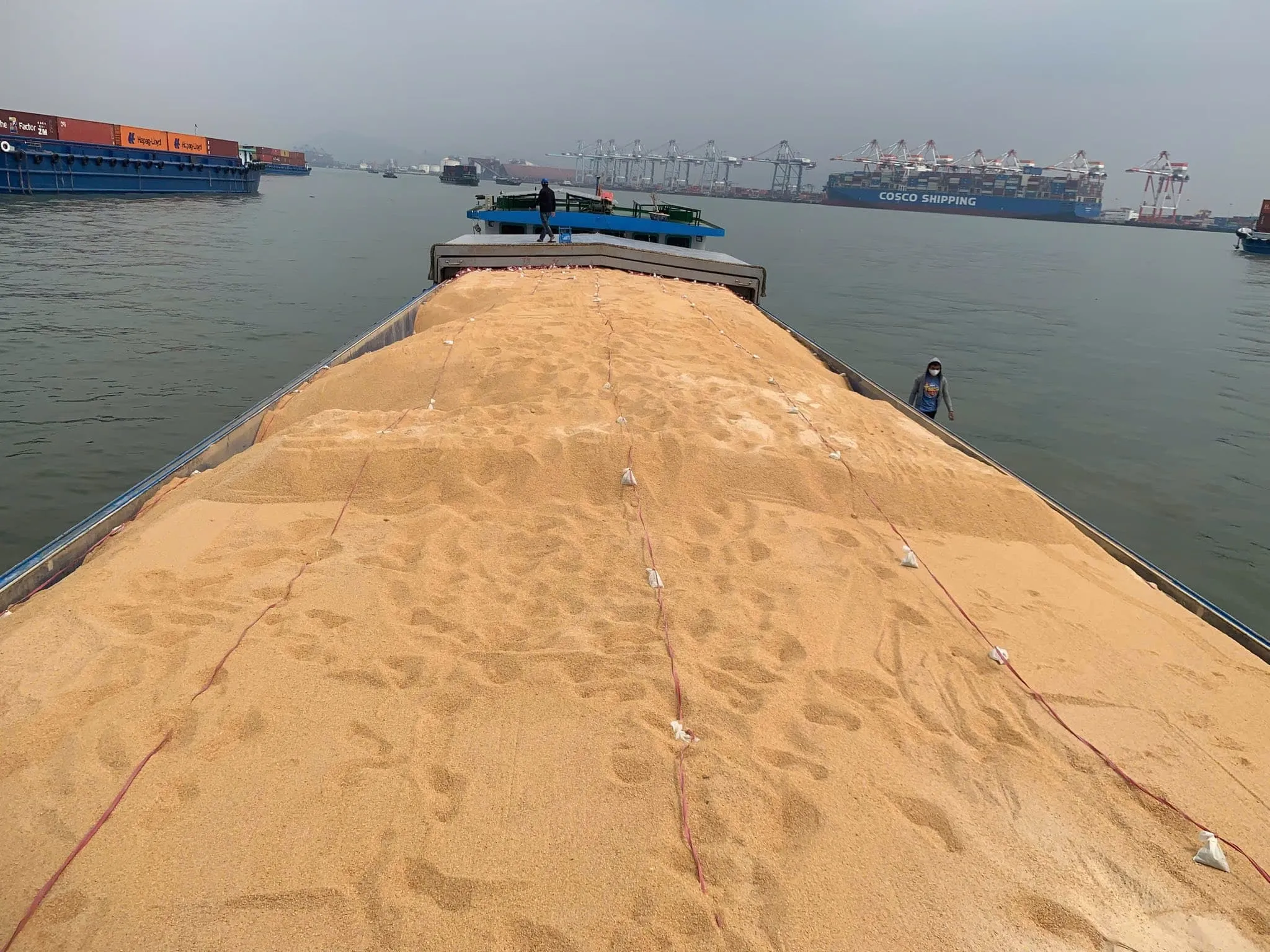 Hàng rời phủ bạt trên khoang salan